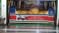 frutta-Paesi_Tuoi_3