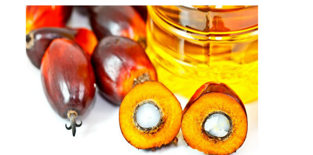 OLIO DI PALMA