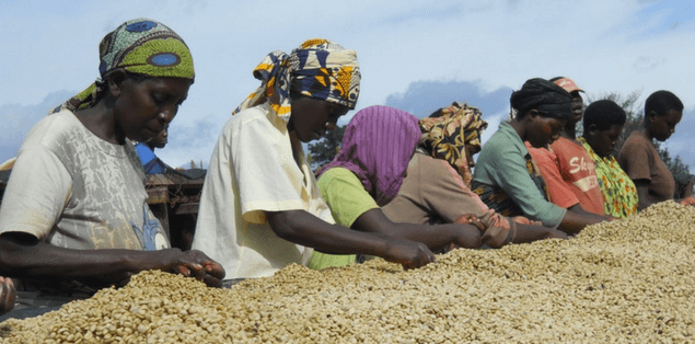 RUANDA SCAE