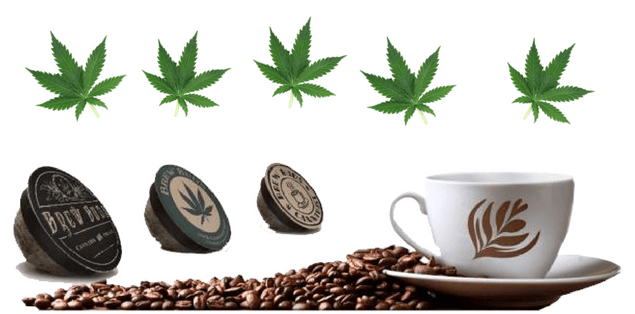 Cannabis