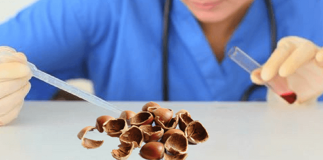 nocciole