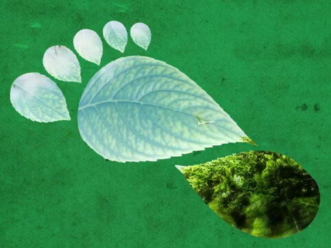 Ministero dell’Ambiente. Il progetto Carbon Footprint (Video)
