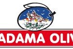 Anteprima Venditalia. Madama Oliva