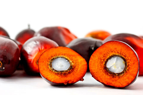 Ferrero, l’olio di palma e i consumatori