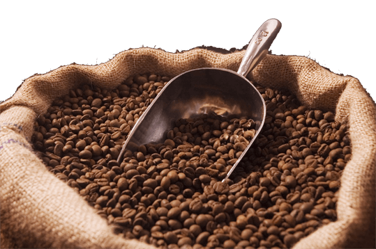 Prevista per il 2016 la ripresa del mercato del caffè in Africa