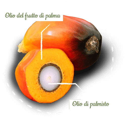 Le aziende alimentari italiane si alleano per l’olio di palma
