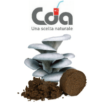 CDA Cattelan: dai fondi di caffè ai funghi