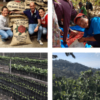 Viaggio in Centro America di CSC – Caffè Speciali Certificati