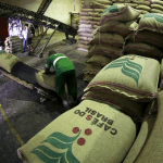 Brasile. Cresce la produzione di caffè ma calano le esportazioni
