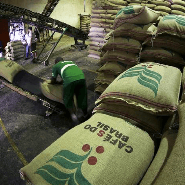 Brasile. Cresce la produzione di caffè ma calano le esportazioni