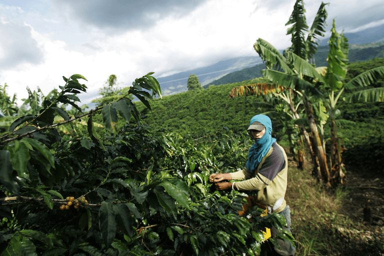 Colombia