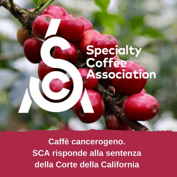 SCA – Specialty Coffee Association risponde alla Corte della California