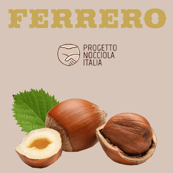 Ferrero. Le nocciole irpine entrano nel “Piano Nocciola Italia”