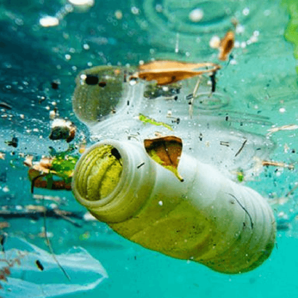 UE dice basta a prodotti di plastica usa e getta: tutte le misure da adottare