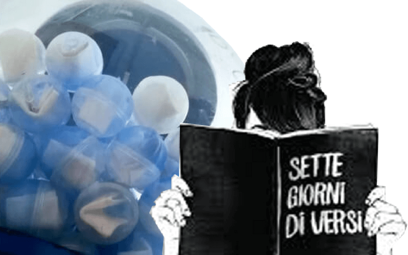poesia poesia
