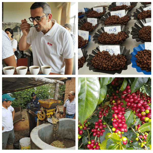 Caffè Gioia vola in Perù alla ricerca di Specialty Coffee