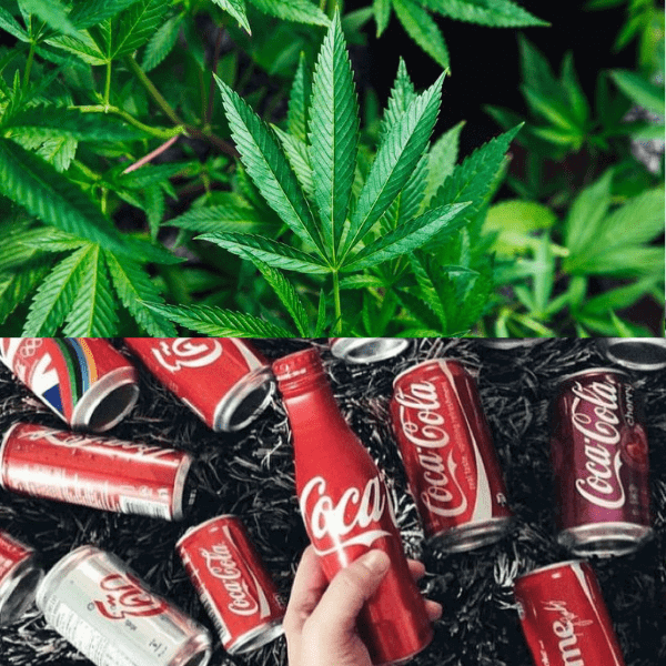 La Coca-Cola alla cannabis potrebbe diventare realtà