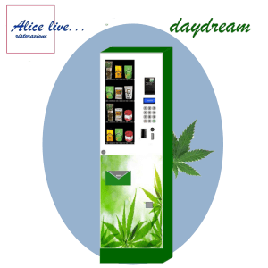 cannabis