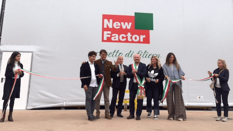 new factor
