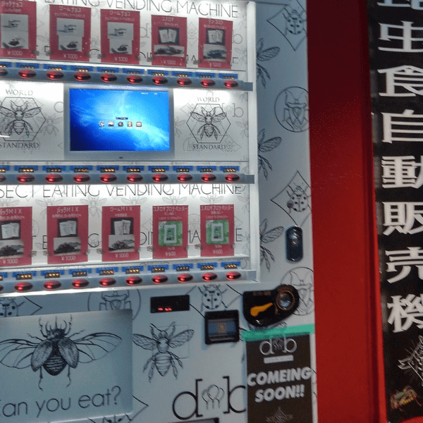 Successo a Kumamoto per la vending machine di insetti-snack