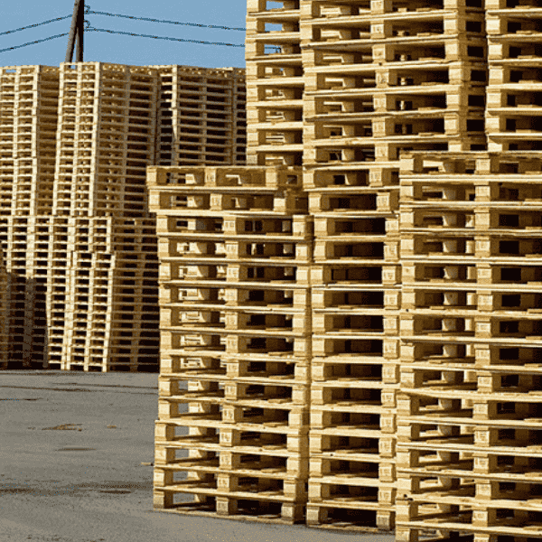 Furto continuato di pallet di legno alla San Benedetto di Paese