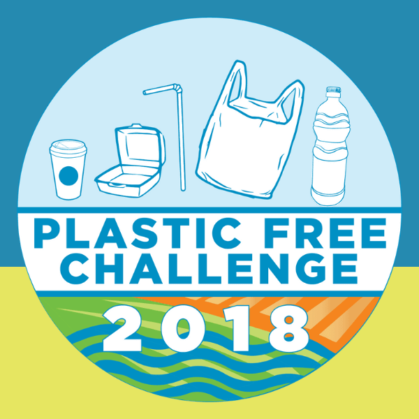 Anche il Comune di Faenza decide di aderire alla Plastic Free Challenge