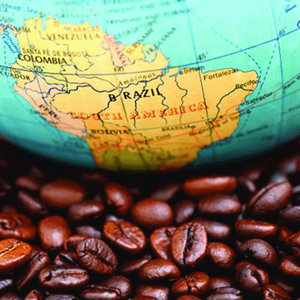 Brasile. Export di caffè da record nel 2018