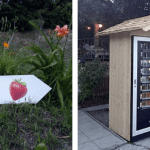 In Alto Adige My VitaminBomber la prima vending machine di frutta fresca