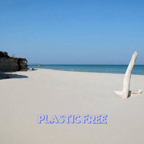 Puglia Plastic Free. Il Consiglio di Stato rimanda al TAR