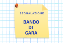 Bando di gara Regione Lazio BANDO DI GARA