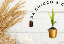 Nel 2019 cresce la solidarietà grazie al progetto “Da Chicco a Chicco” di Nespresso