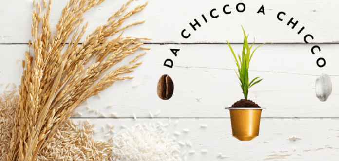 CHICCO 842-min