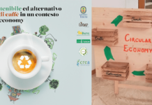 Pellet e Biochar dai fondi di caffè Gedap