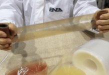 Da ENEA biopellicole intelligenti per il packaging alimentare