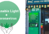 L’impatto del Coronavirus sulle vendite di cannabis light via e-commerce e vending