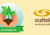 Energia pulita dai fondi di caffè: l’innovativo progetto di Scattolin Distribuzione Automatica