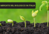 Cresce il mercato del biologico in Italia, asset strategico per Green Deal e Recovery Fund