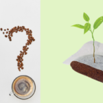 La cialda batte la moka per una pausa caffè che rispetta la natura