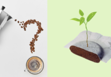 La cialda batte la moka per una pausa caffè che rispetta la natura
