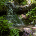Nestlé Waters – Gruppo Sanpellegrino – punta ad un impatto idrico positivo