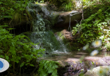 Nestlé Waters – Gruppo Sanpellegrino – punta ad un impatto idrico positivo
