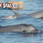 Nella Giornata Mondiale degli Oceani Smarties sostiene l’Acquario di Genova