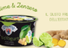 Da Latteria Vipiteno bioYogurt al gusto Lime e Zenzero: il mix fresco per l’estate