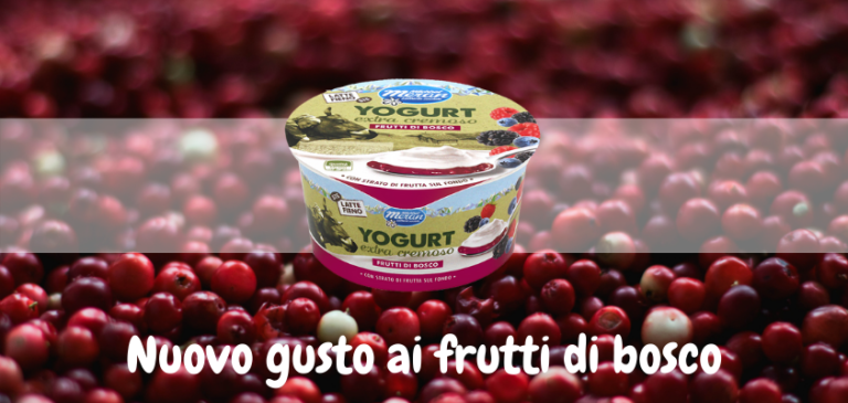 Lo yogurt extra cremoso Latte Fieno di Latteria Merano al gusto Frutti di Bosco
