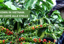 Lockdown in Vietnam e prezzi del caffè alle stelle