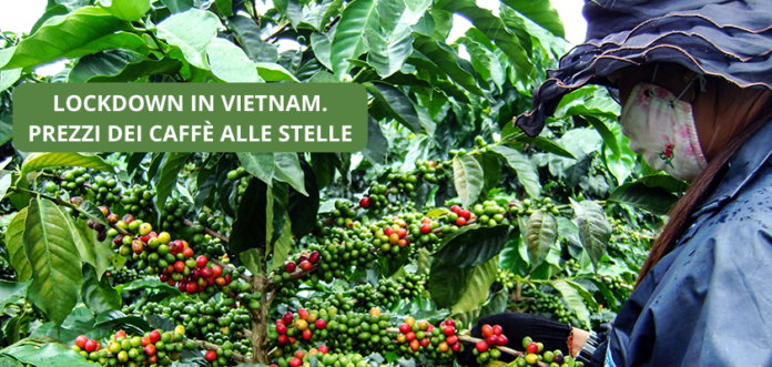 VIETNAM LOCKDOWN 842 VENDING NEWS