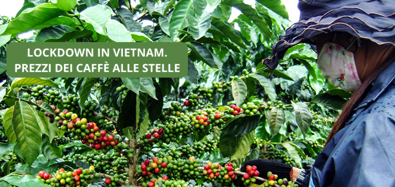 Lockdown in Vietnam e prezzi del caffè alle stelle