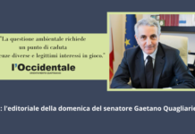 Sen. Gaetano Quagliariello: la transizione ecologica non è uno slogan da salotto