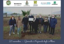 Nella Giornata nazionale degli Alberi, anche in Puglia “Le città che respirano” di Nespresso