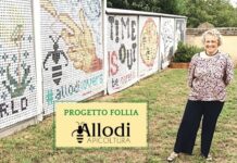 Progetto Follia. Un murales di capsule esauste candidato al Guinnes World Record